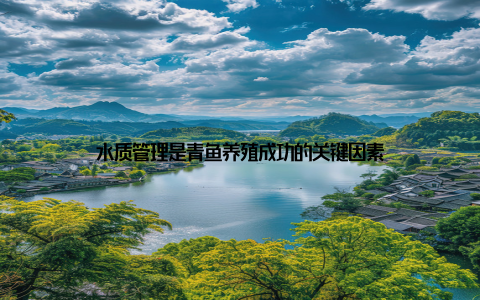 水质管理是青鱼养殖成功的关键因素