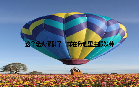 这个念头像种子一样在我心里生根发芽