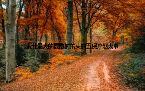 变化最大的要数村东头的五保户赵大爷