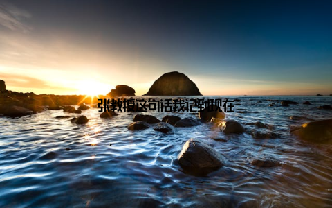 张教授这句话我记到现在