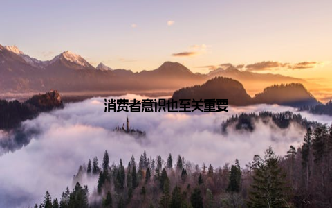 消费者意识也至关重要