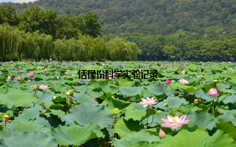 活像份科学实验记录