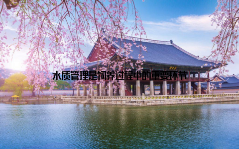 水质管理是饲养过程中的重要环节