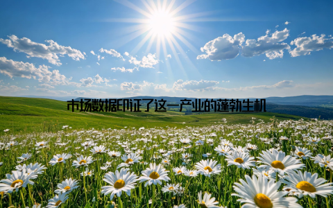 市场数据印证了这一产业的蓬勃生机