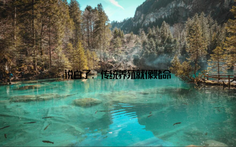 说白了, 传统养殖就像赌命