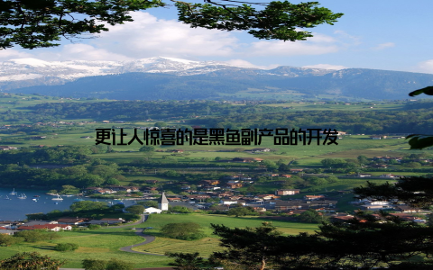 更让人惊喜的是黑鱼副产品的开发