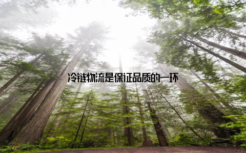 冷链物流是保证品质的一环