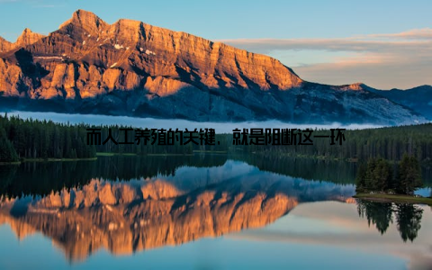 而人工养殖的关键, 就是阻断这一环