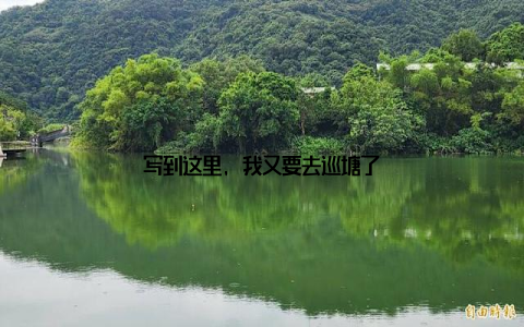 写到这里, 我又要去巡塘了