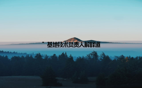 ”基地技术负责人解释道