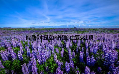 能源成本是室内养殖的主要支出项