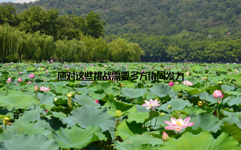 应对这些挑战需要多方协同发力