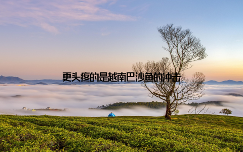 更头疼的是越南巴沙鱼的冲击