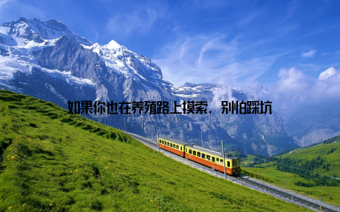 如果你也在养殖路上摸索, 别怕踩坑