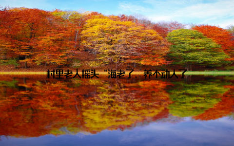 村里老人摇头“海老了, 养不动人了