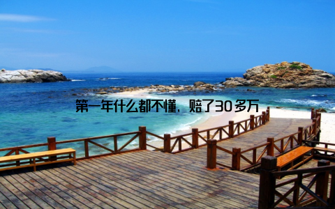 第一年什么都不懂, 赔了30多万