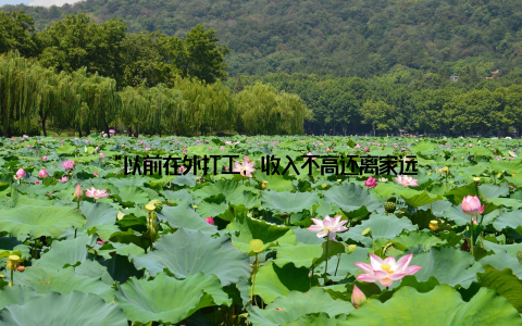 “以前在外打工, 收入不高还离家远