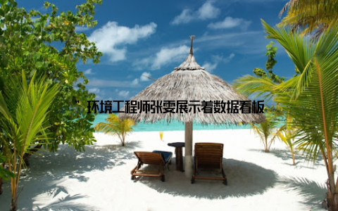 ”环境工程师张雯展示着数据看板