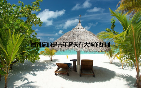 最难忘的是去年冬天在大连的见闻