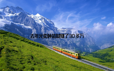 去年光卖种苗就赚了30多万