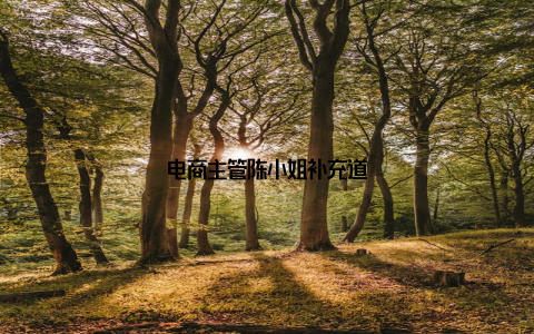 电商主管陈小姐补充道