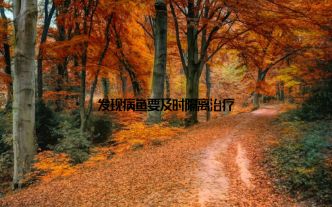 发现病鱼要及时隔离治疗