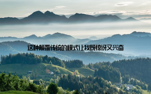 这种颠覆传统的模式让我既惊讶又兴奋