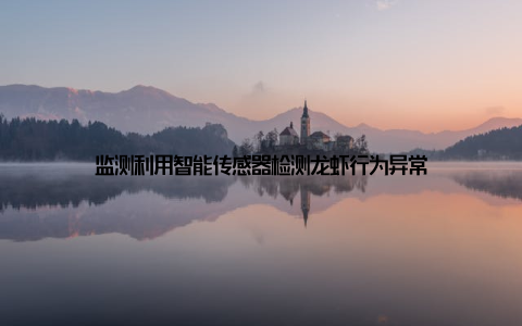 监测利用智能传感器检测龙虾行为异常