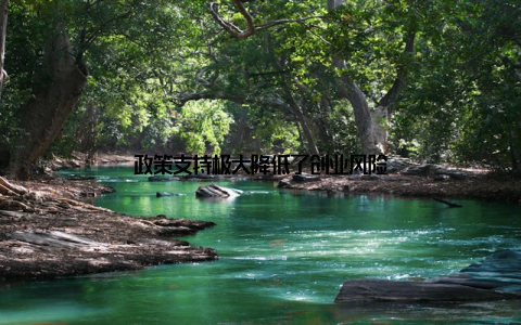 政策支持极大降低了创业风险