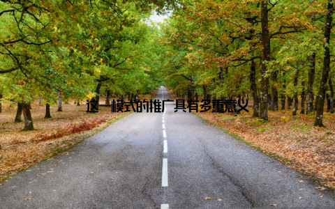 这一模式的推广具有多重意义