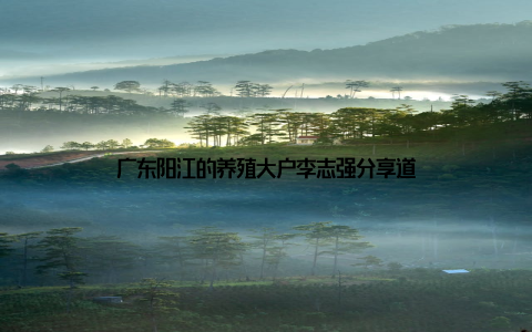 广东阳江的养殖大户李志强分享道