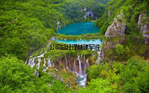 公司总经理林建军说