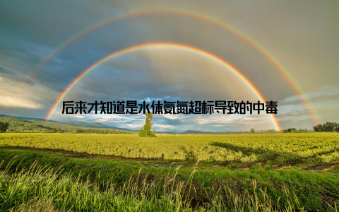 后来才知道是水体氨氮超标导致的中毒