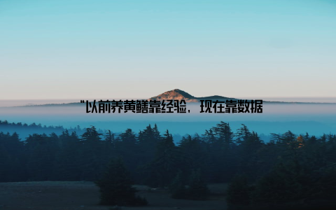 “以前养黄鳝靠经验, 现在靠数据