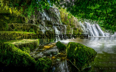 深加工技术的开发将延长产业链