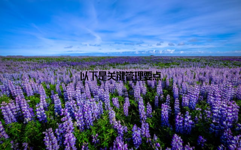 以下是关键管理要点
