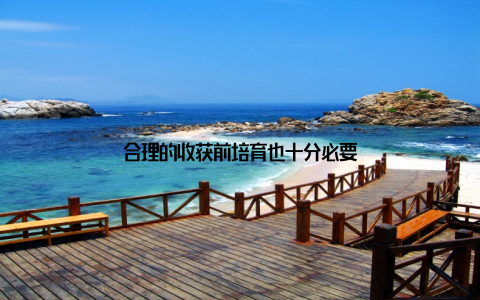 合理的收获前培育也十分必要