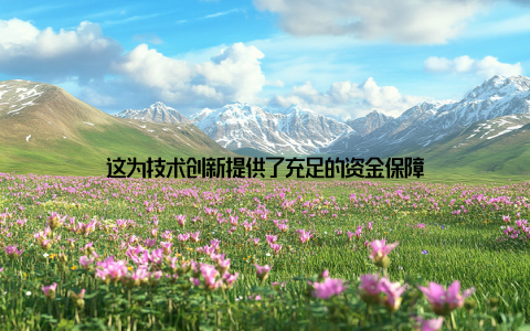 这为技术创新提供了充足的资金保障