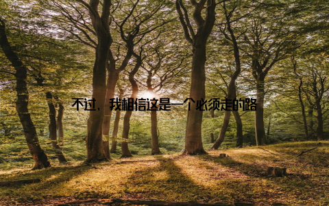 不过, 我相信这是一个必须走的路