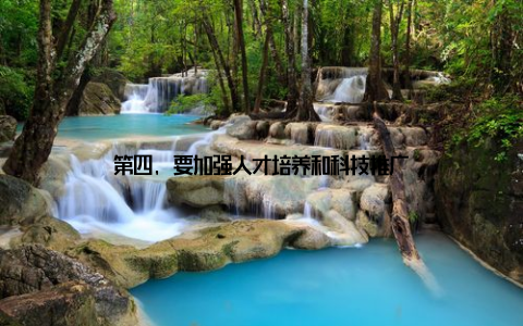 第四, 要加强人才培养和科技推广