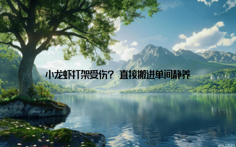 小龙虾打架受伤? 直接搬进单间静养