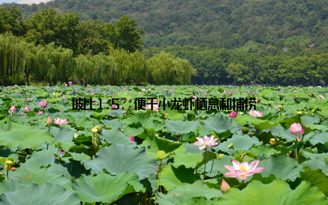 坡比1:5, 便于小龙虾栖息和捕捞