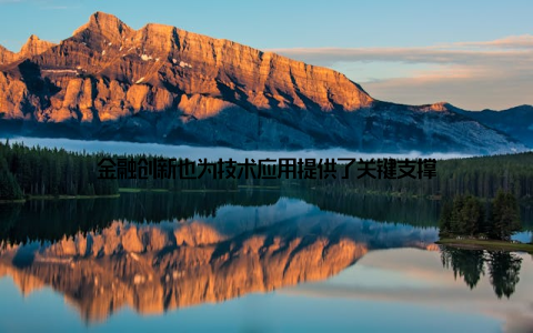 金融创新也为技术应用提供了关键支撑