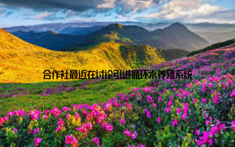 合作社最近在讨论引进循环水养殖系统