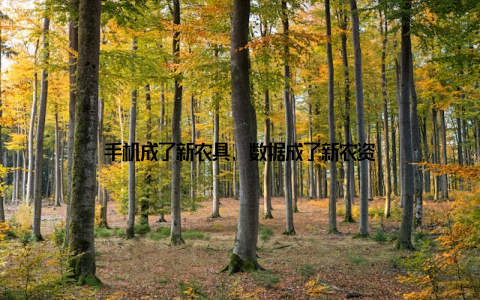 手机成了新农具, 数据成了新农资