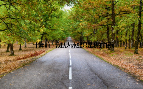 二十年前, 我以为水蛏只是我的饭碗