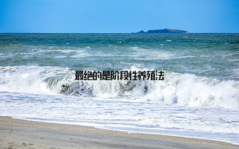 最绝的是阶段性养殖法