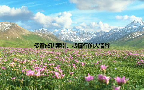 多看成功案例, 找懂行的人请教