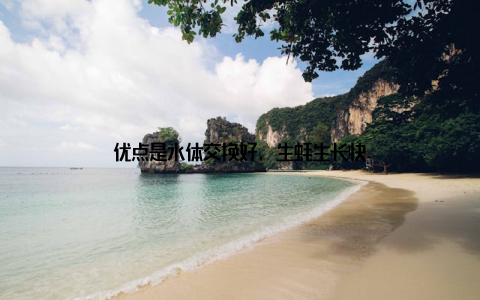 优点是水体交换好, 生蚝生长快