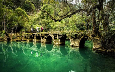 沙甲这东西, 看着糙, 实则娇气